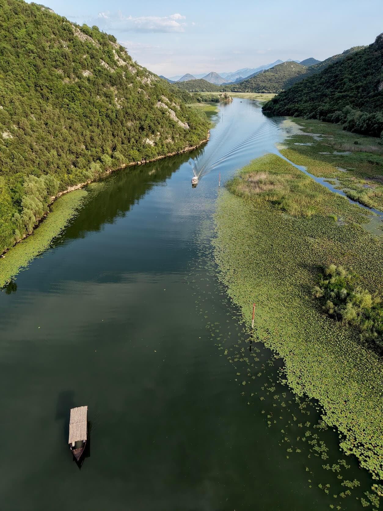 Luftaufnahme der grünen Feuchtgebiete des Skadar Sees