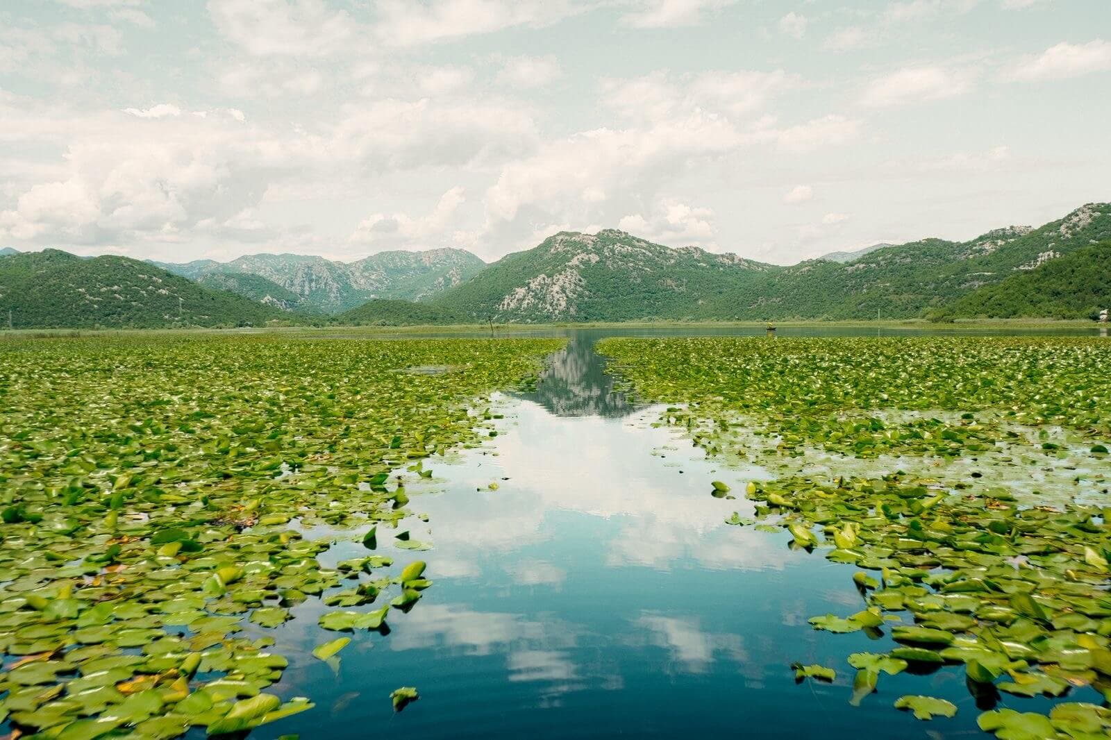 Feuchtgebiete des Skadar Sees